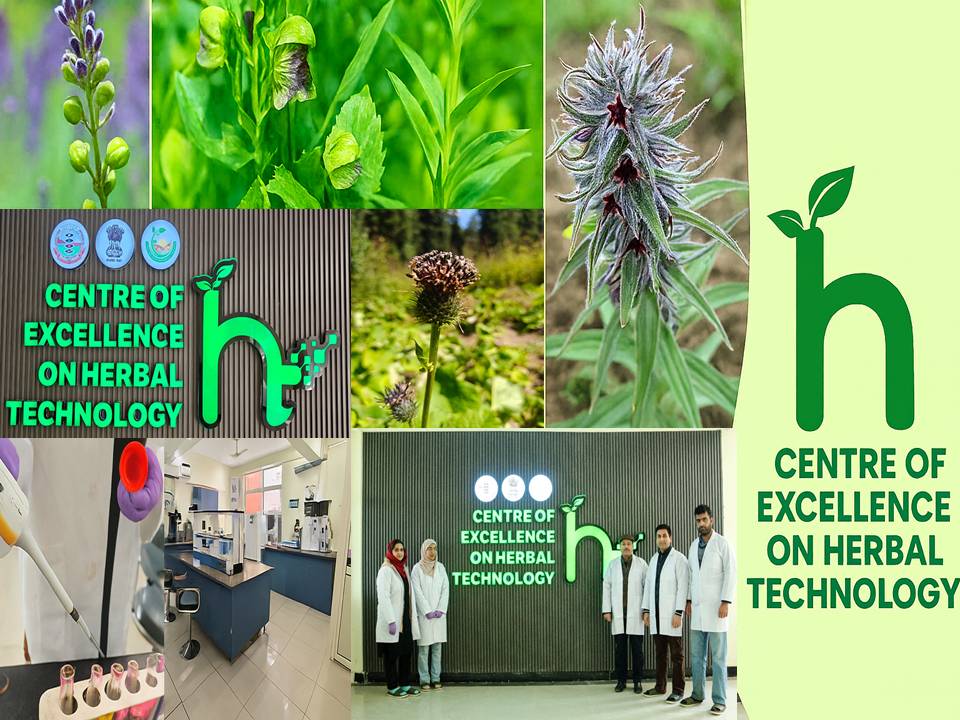 Promotion of Medicinal and Aromatic Plants (MAPS) Cultivation on Commercial Basis in the UT of J&K