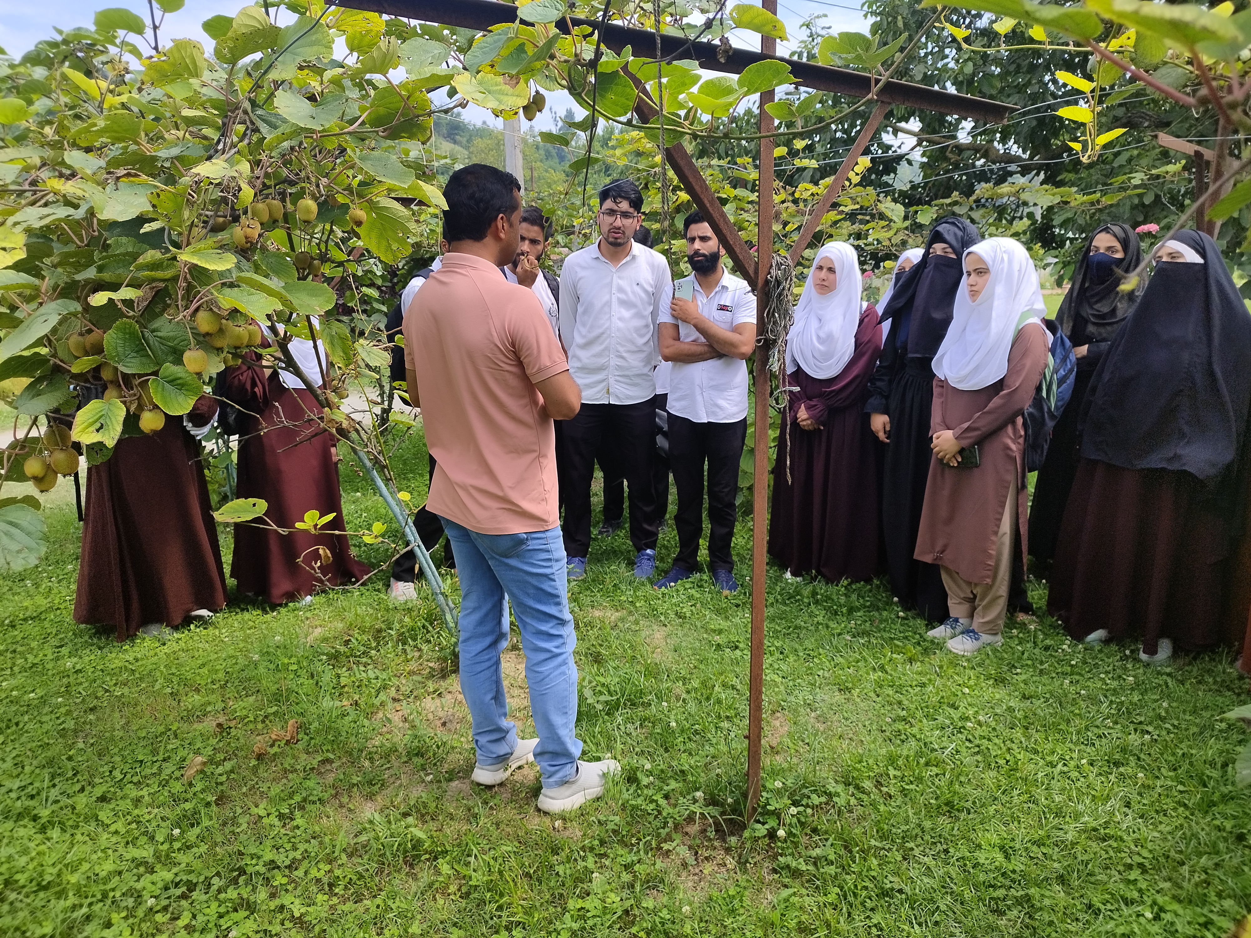 Efficacy of Organic and Bio pesticides against Green Apple Aphid 