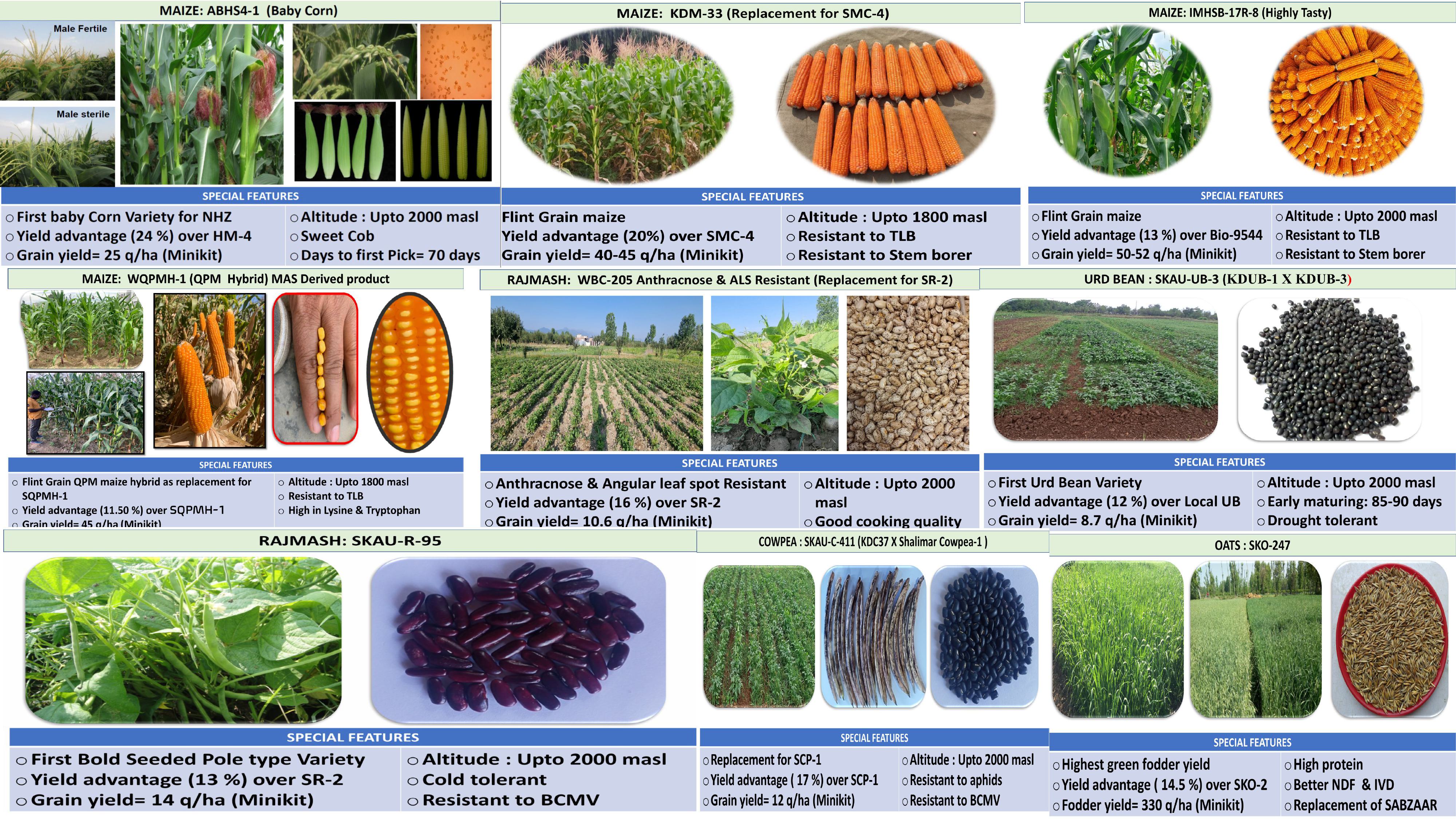 Climate smart and Nutritionally enriched varities.