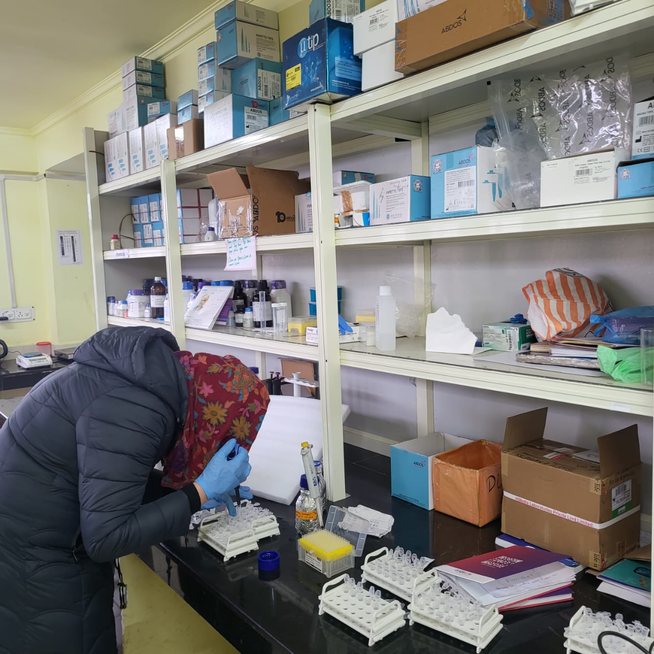 Molecular Breeding  Laboratory