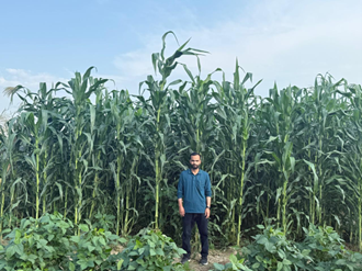 Varietal Development