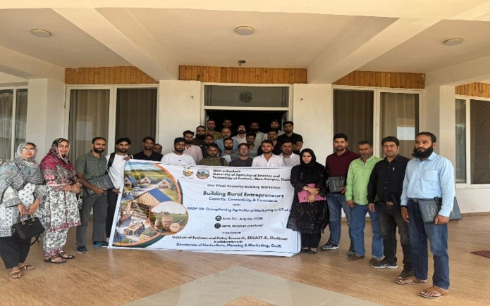 Building Rural Entrepreneurs: Capacity, Connectivity & Commerce 