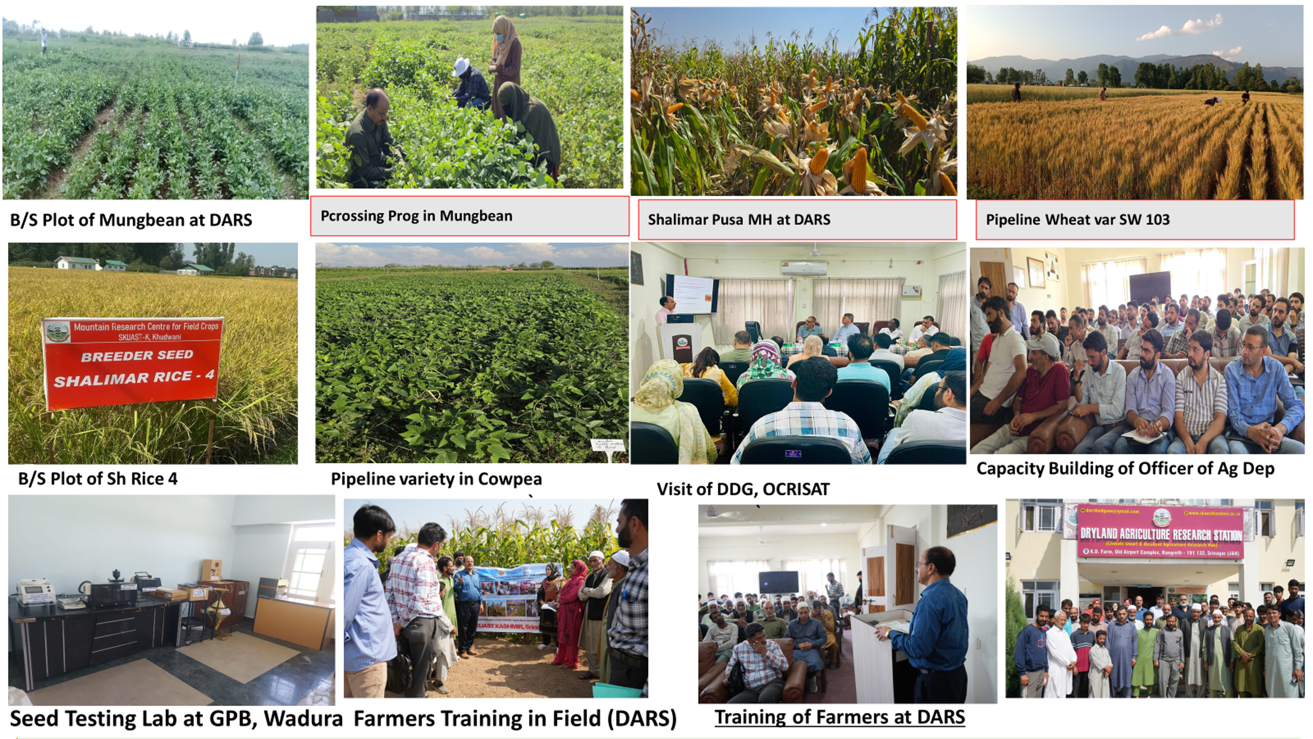 Production of Breeders Seed