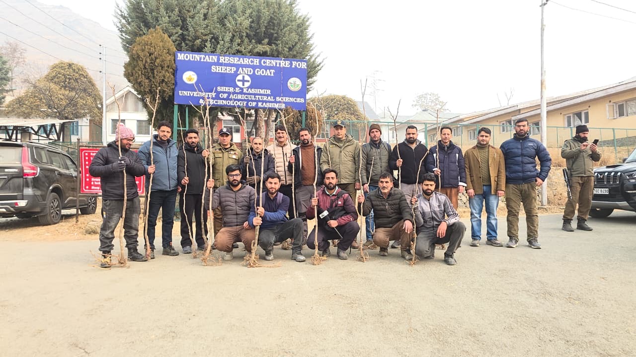 Mecanization of MRCS&G Shuhama