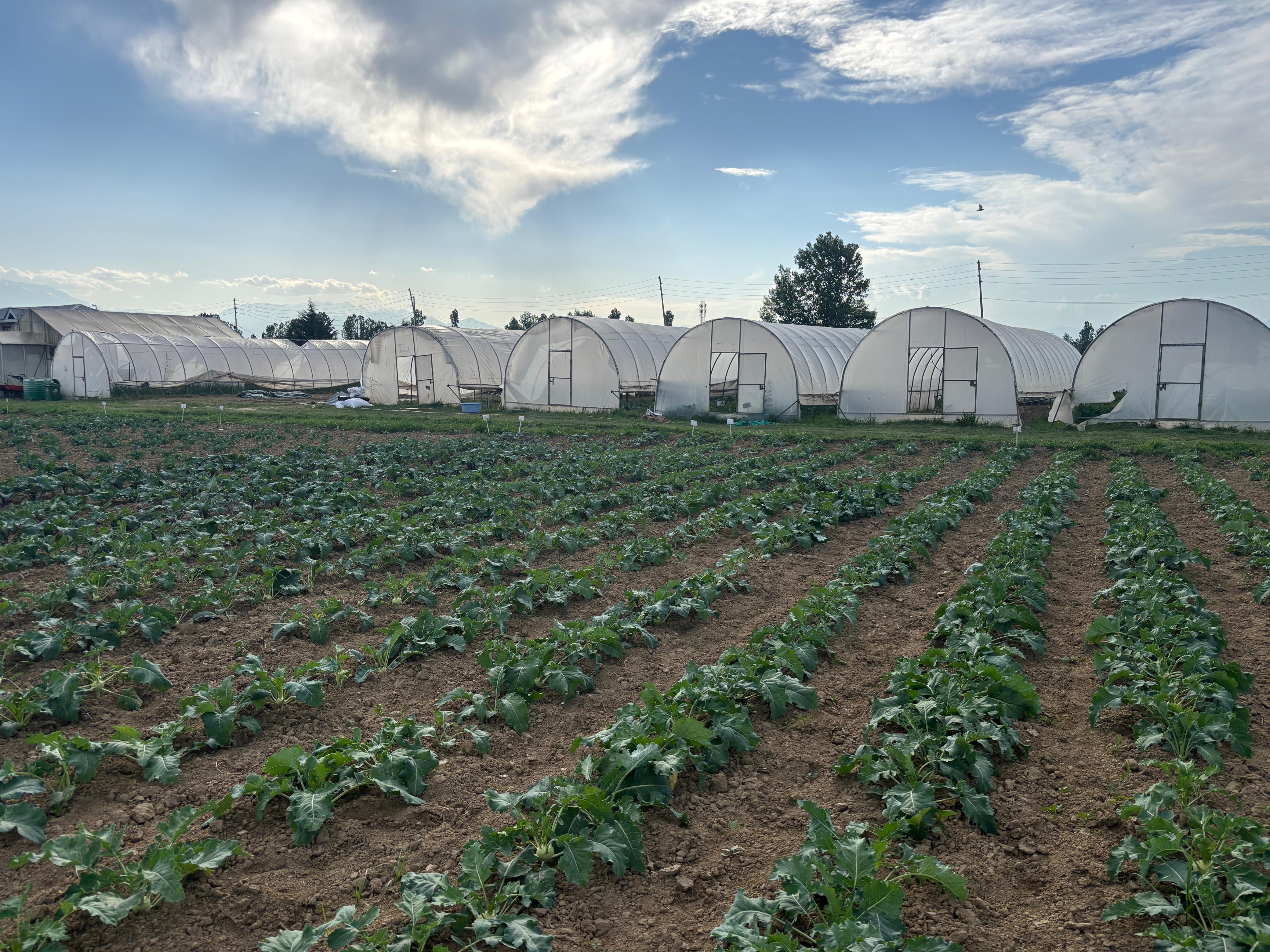 Upgradation of IFS model at Faculty of Agriculture, Wadura