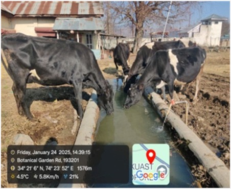 Establishment of Livestock and Poultry unit at FoA, Wadura, Sopore